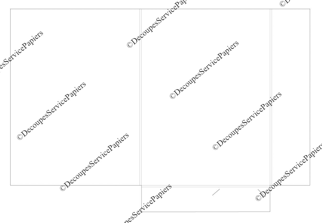 CHEMISE F 218 X 299 O 508 X 339.jpeg